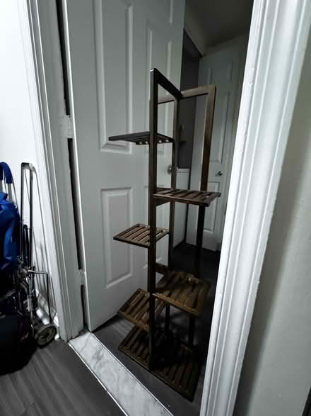 Photo of free CD tower (American University) #1