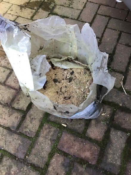 Photo of free Bag of sand (Redhill RH1) #2