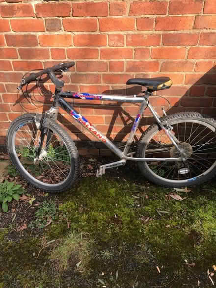 Photo of free Men’s Bike (CV5) #1