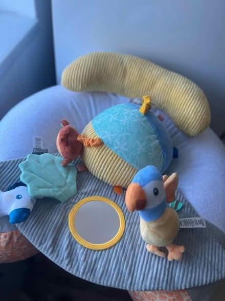 Photo of free Nuby babysitting doughnut and ball (Norris green L11) #3