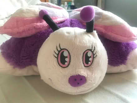 Photo of free Purple butterfly cushion (Wells BA5) #1