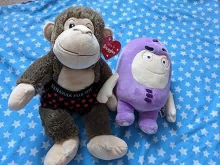 Photo of free Plush/soft toy (Walton on the Hill L9) #1