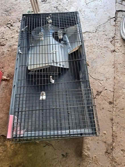 Photo of free Indoor rabbit/guinea pig cage (Heavitree) #2