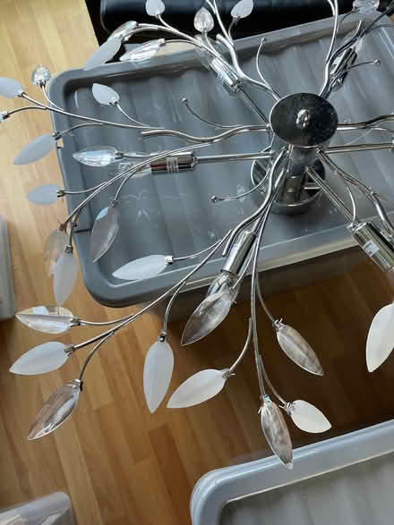 Photo of free Ceiling lights (East Broyle) #2
