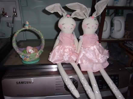 Photo of free Easter stuff/Broiling set (Snell and Santa Teresa) #1