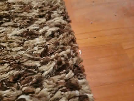Photo of free Area Carpet - Driftwood (Near Mary Honeywell School) #4