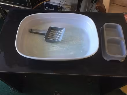 Photo of free Cat litter tray (Bromsgrove B61 7) #1