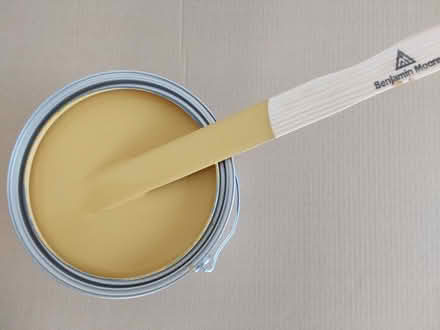 Photo of free Gallon of Paint (K2A 0G7) #1