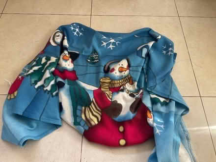 Photo of free Dog blanket (Cliff Hill CV34) #1