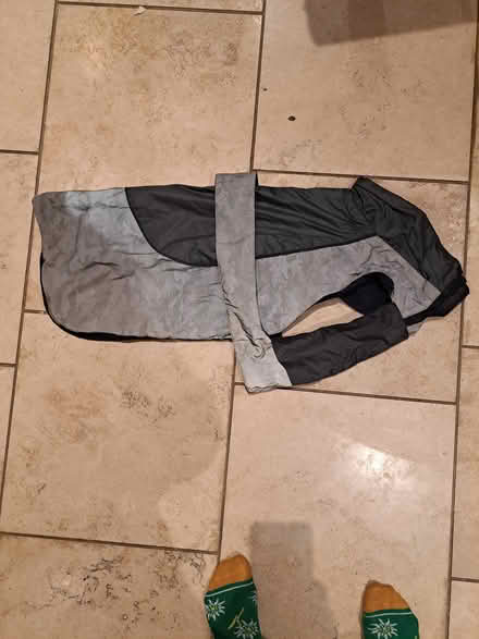 Photo of free Reflective dog jacket (Littlemore, OX4) #1