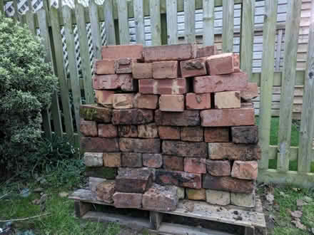 Photo of free Assorted reclaimed bricks (Malvern Wells WR14) #1