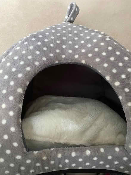 Photo of free Cat/Puppy Bed (Midhurst) #3