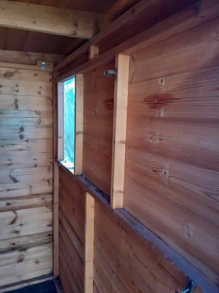 Photo of free Small Garden Shed (TA11) #4