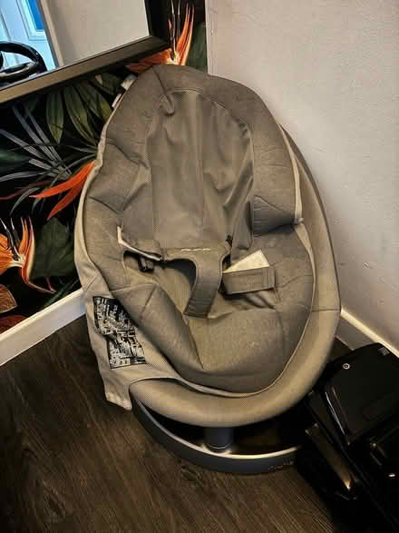 Photo of free Nuna leaf baby swing (Norfolk park) #1