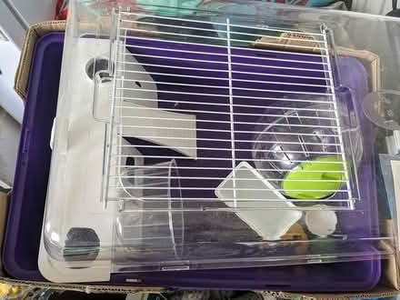 Photo of free Hamster starter kit (Skerton, Lancaster, LA1) #2