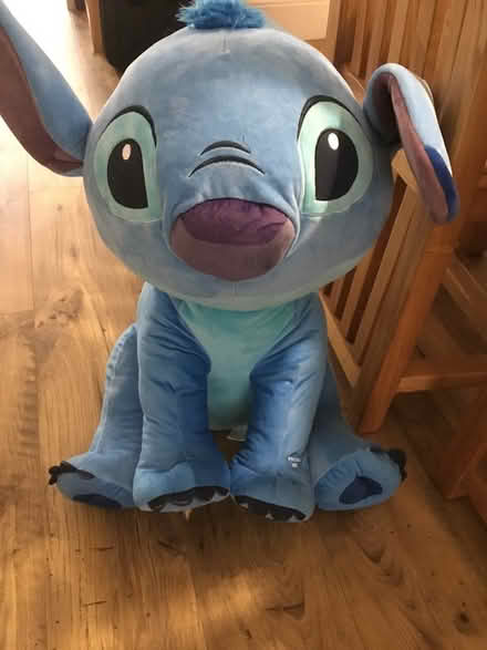 Photo of free Stitch cuddly toy (L17 Aigburth) #1