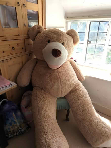 Photo of free Giant teddy bear (Plymtree, Norman's Green End) #1