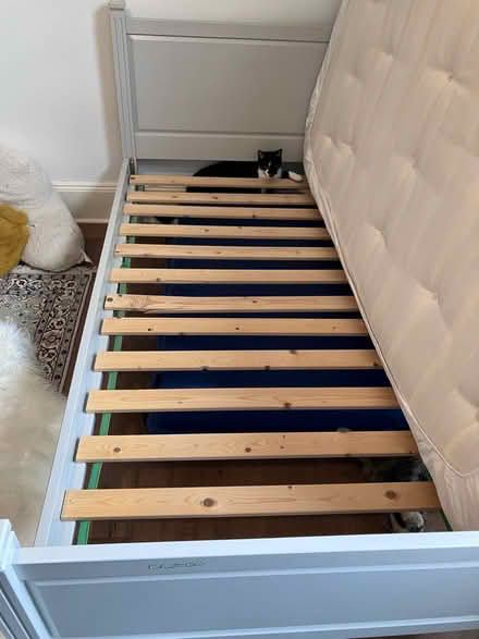 Photo of free Single bed (Highbury, N5) #4