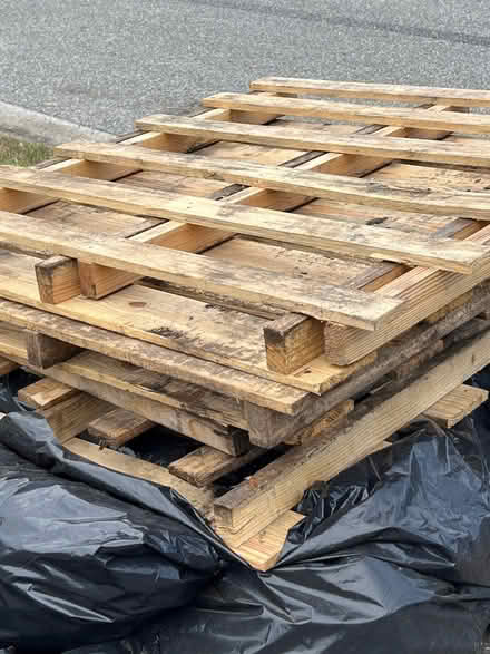 Photo of free 8 Pallets, Great condition (32822) #1