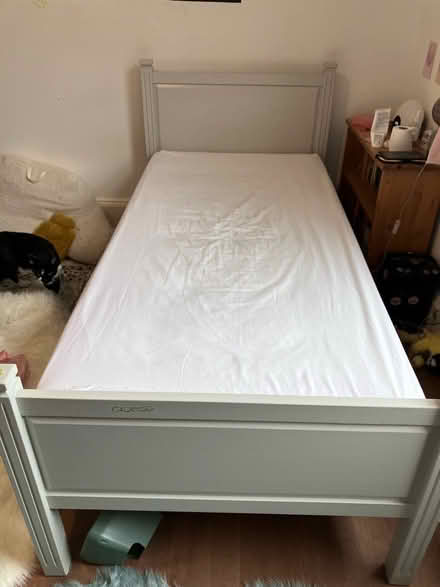Photo of free Single bed (Highbury, N5) #1