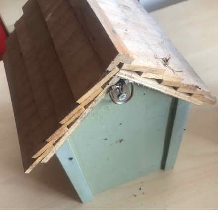Photo of free 2x Small Bird Boxes (Chesham) #3