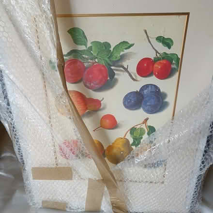 Photo of free Large Fruit print in frame (East Finchley N2) #1