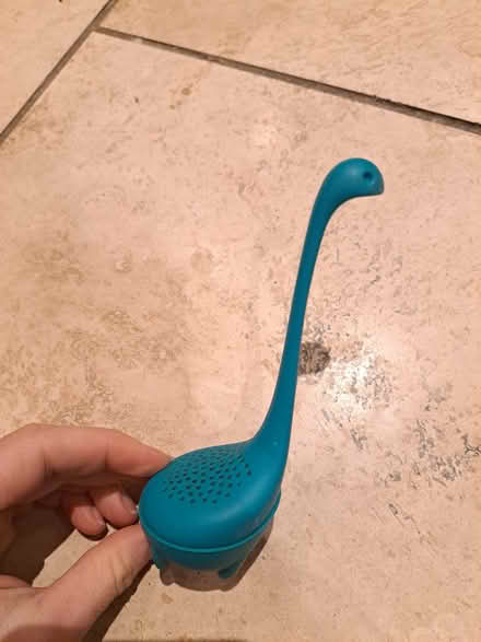 Photo of free Tea strainer (Littlemore, OX4) #1