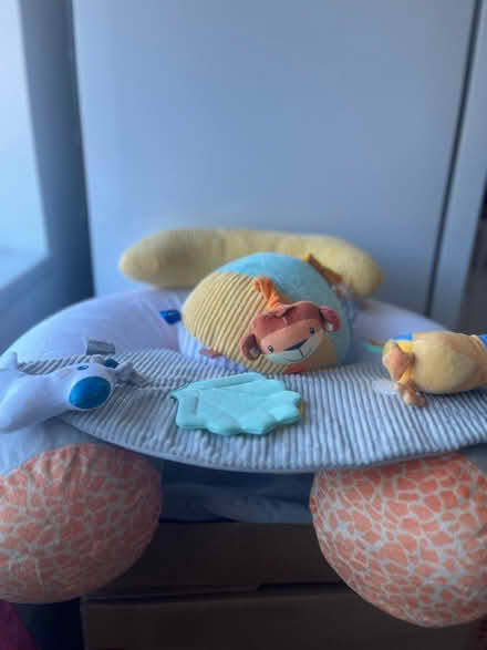 Photo of free Nuby babysitting doughnut and ball (Norris green L11) #1