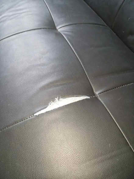 Photo of free Sofa bed (West End LA3) #4