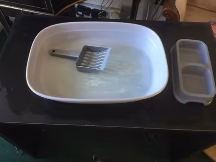 Photo of free Cat litter tray (Bromsgrove B61 7) #1