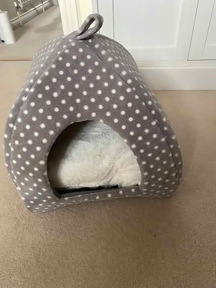 Photo of free Cat/Puppy Bed (Midhurst) #1