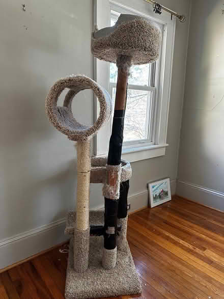 Photo of free 2 well-used cat trees (Kenilworth 28803) #3