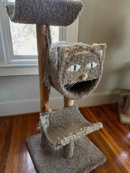 Photo of free 2 well-used cat trees (Kenilworth 28803) #1