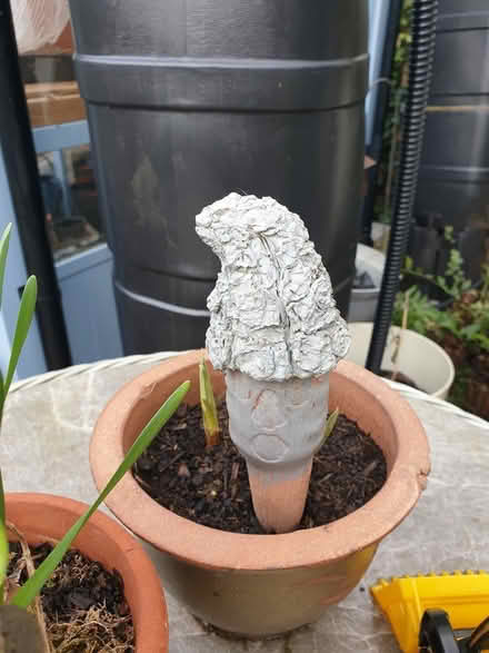 Photo of free Pot waterer (Sherwood Nottingham NG5) #1