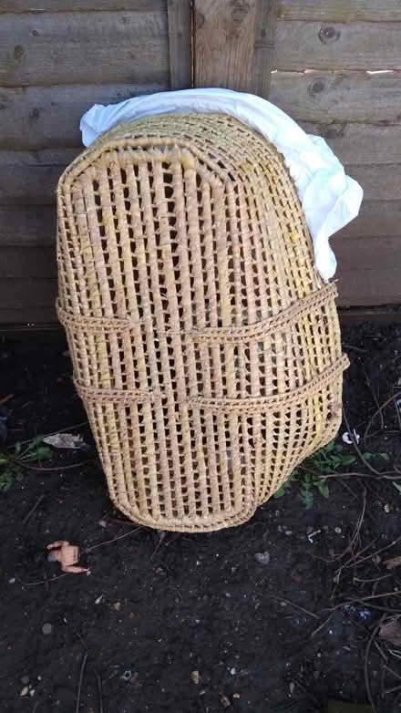 Photo of free Moses basket (East Croydon CR0) #2