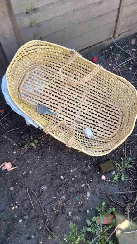 Photo of free Moses basket (East Croydon CR0) #1