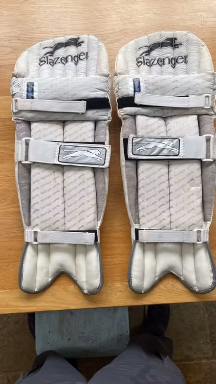 Photo of free Cricket Pads (New forest, Bramshaw) #1