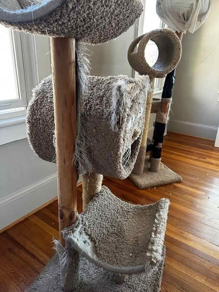 Photo of free 2 well-used cat trees (Kenilworth 28803) #2