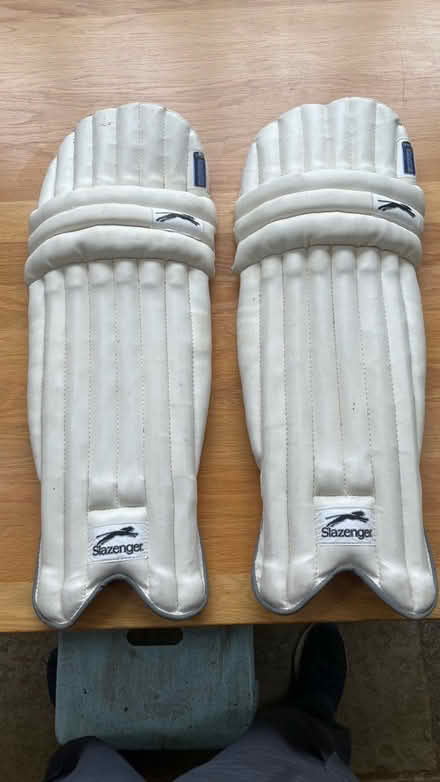 Photo of free Cricket Pads (New forest, Bramshaw) #2