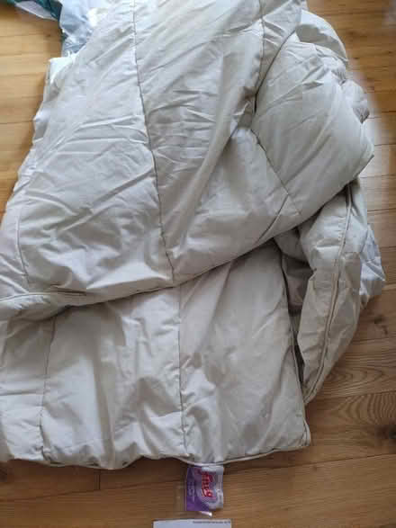 Photo of free Double feather duvet (Wirksworth DE4) #1