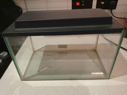 Photo of free Glass tank (Livingston EH54) #2