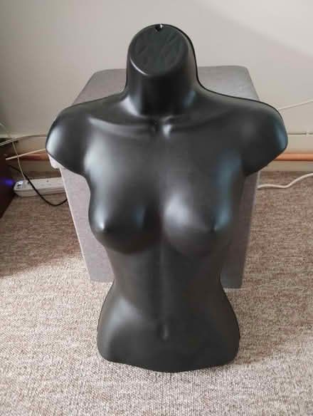 Photo of free Plastic female half torso (Leytonstone E11) #1