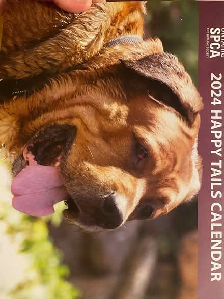 Photo of free SPCA calendar 2024 (Vanier) #1