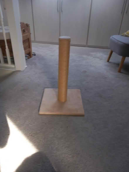 Photo of free Cat Scratching Post (unused) (Portslade by Sea BN3) #1