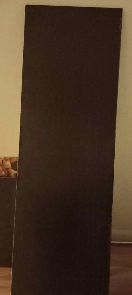 Photo of free Bath panel 1.7m and end panel (N21) #3