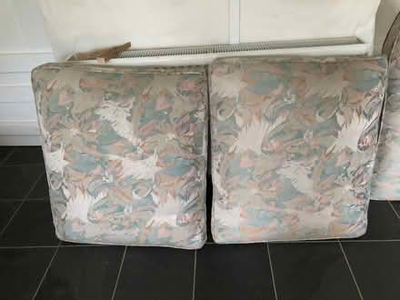Photo of free Seats and back cushions from sofa (LA6) #1