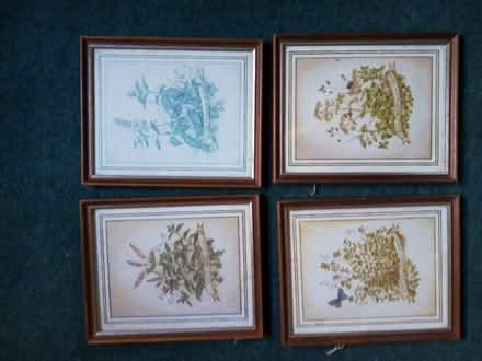 Photo of free picture frames, various sizes (Bronllys LD3) #1