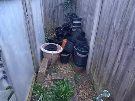 Photo of free 3 litre and larger plant pots (Cashes Green GL5) #1