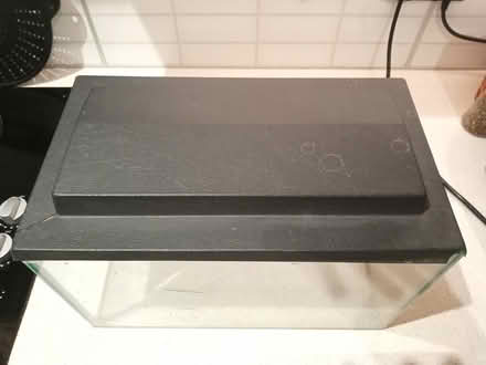 Photo of free Glass tank (Livingston EH54) #1