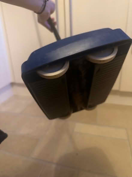 Photo of free Carpet sweeper (London Colney AL2) #1